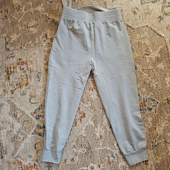 Anthropologie Saturday Sunday Sydney Waisted Joggers Pants size small - Picture 4 of 8